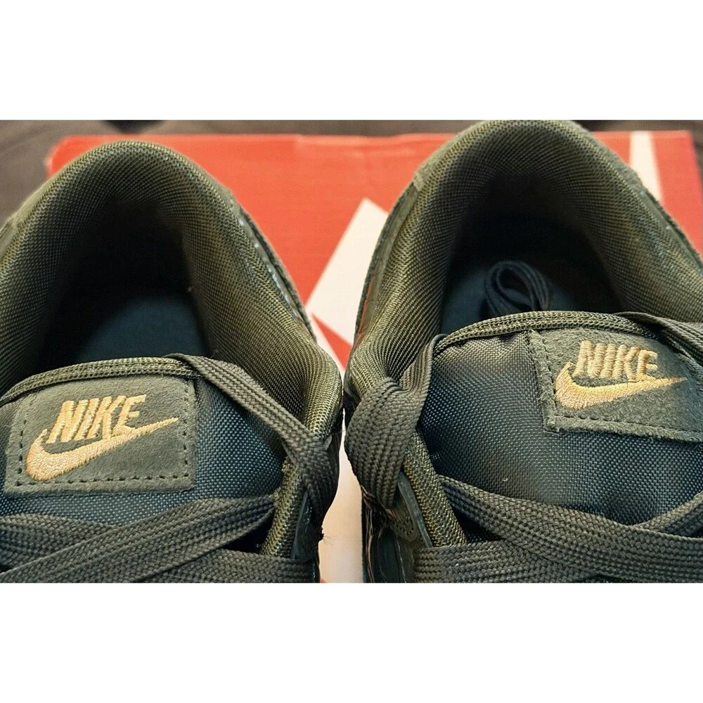 Nike new dunk